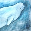Beluga