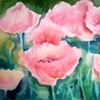 Pink Poppy Field