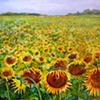 Sunflower Field #1
