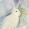 Spirit Hare