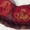 red collar detail