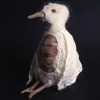 Bark Bird