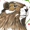 Vancouver Island Marmots