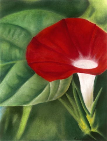 Red Glory