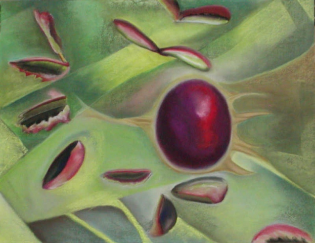 Pod
