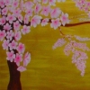 Cherry Blossoms