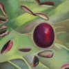 Pod