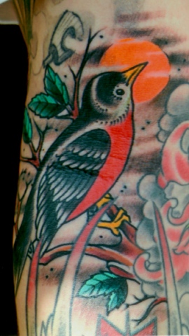 bird ditch