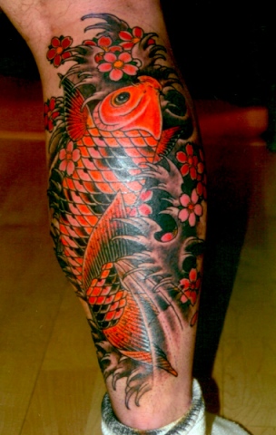 koi back of calf