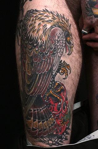 Hawk