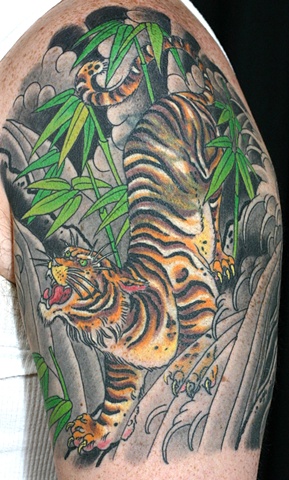 Tiger Bamboo