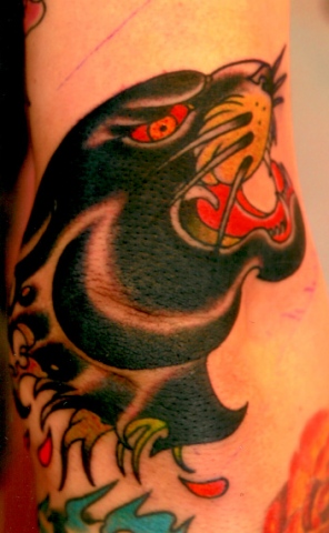 panther elbow