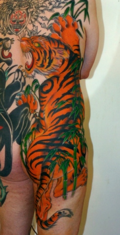 tiger back