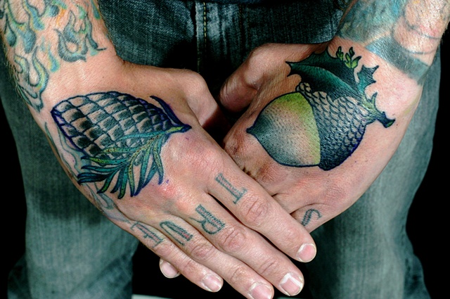 Pine cone Acorn