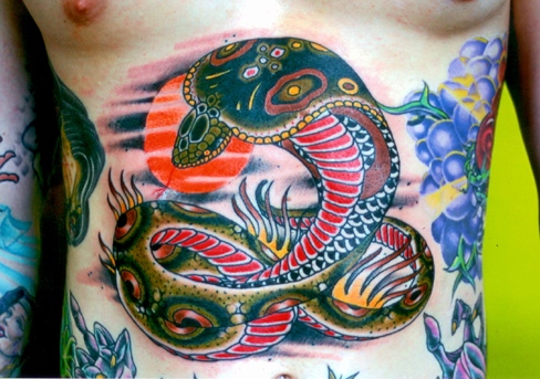 stomach cobra