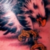 eagle