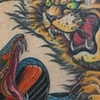 Tiger Cobra