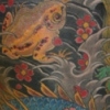 toms toad