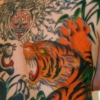 tiger back