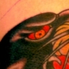 panther elbow