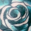 blue rose elbow
