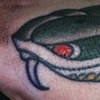 Snake 