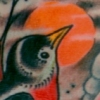 bird ditch