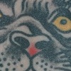 Chad's Tiger