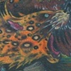 Jeagle
