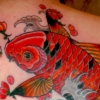 koi shoulder blade