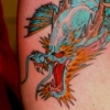 dragon fish
