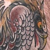 Hawk