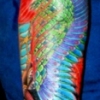 phoenix