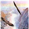 Return of the Eagles