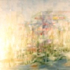 Metamorphosis