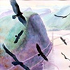 Ballet of Cathartes Aura