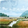 Iona Island Marsh