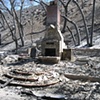 After the Station Forest Fire