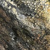 Small Landscapes 02