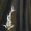 W.H.with Furfish Detail 2