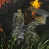Wildfire Pool Detail 2