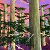W.H. in Truncated Landscape