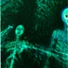 Ancestor