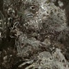 Untitled (rabbit,crab)