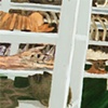Heaven's Net Detail 2