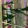 W.H. in Truncated Landscape Detail 2