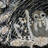Arachne's Larder 04