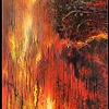 Wildfire