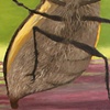 Inordinate Love Detail 2