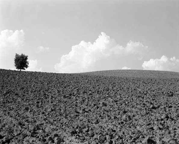 Podere Collelungo Seven